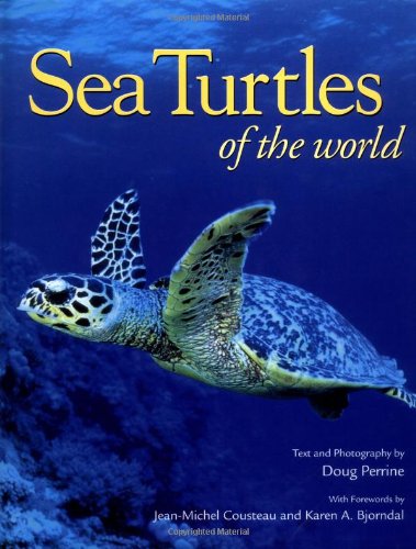 Sea Turtles of the World