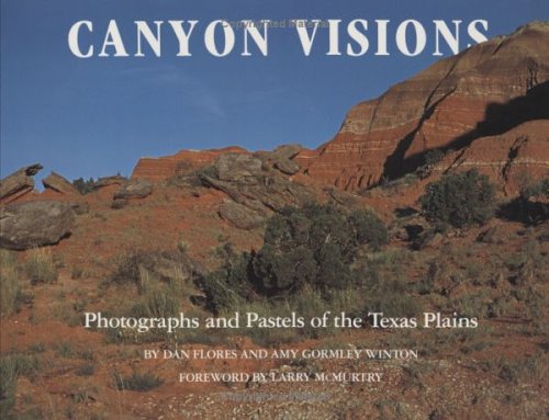 Canyon Visions