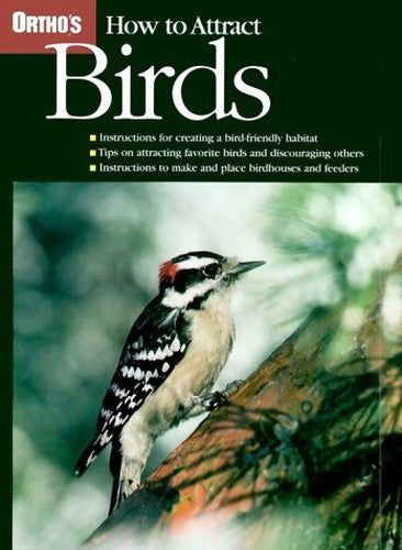 How to Attract Birds