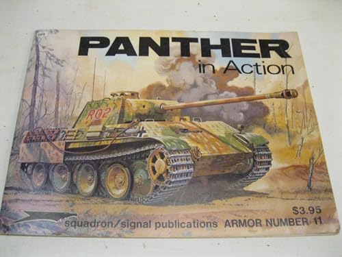 Panther in Action
