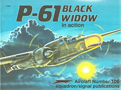 P-61 Black Widow in Action