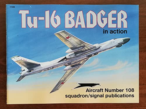 Tu-16 Badger in Action
