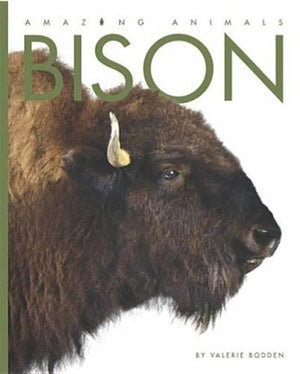Bison