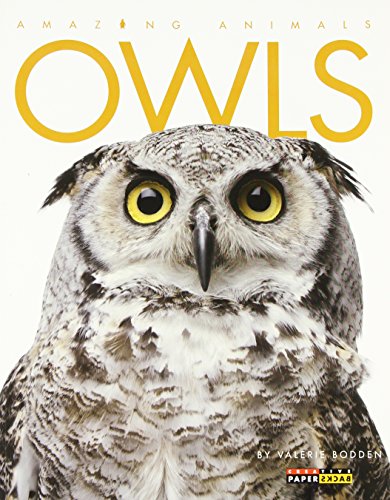 Owls