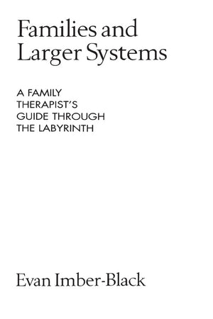 Families and Larger Systems