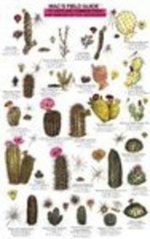 Mac's Field Guides: Southwest Cacti, Shrubs, Trees