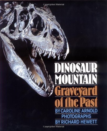 Dinosaur Mountain