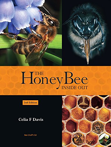 The Honey Bee Inside Out