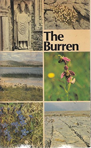 Burren, The, County Clare