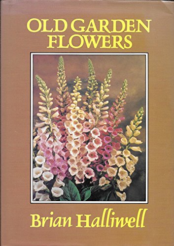Old Garden Flowers