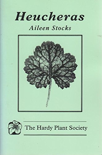 Heucheras