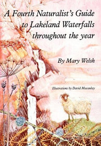 A Naturalist's Guide to Lakeland Waterfalls Throughout the Year 
