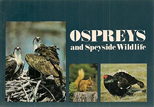 Ospreys and Speyside Wildlife