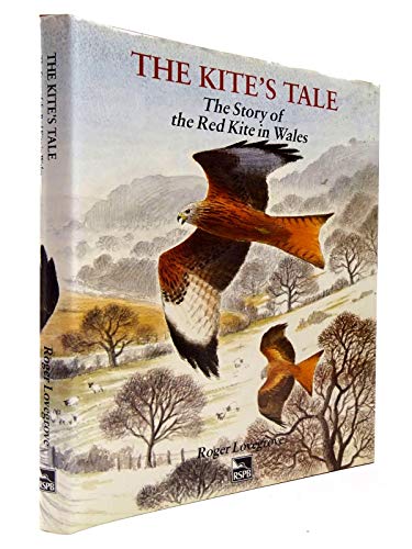 The Kite's Tale