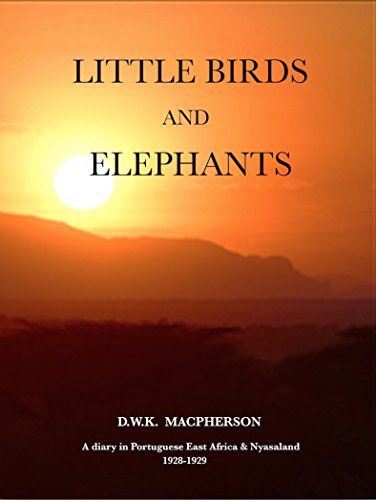 Little Birds and Elephants