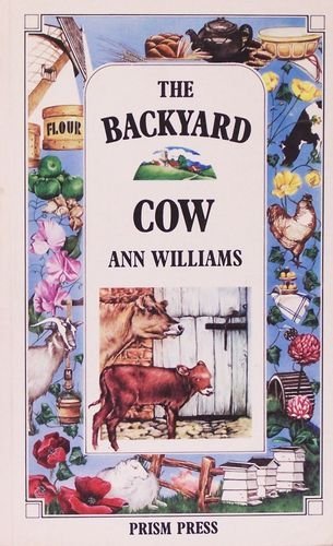 Backyard Cow