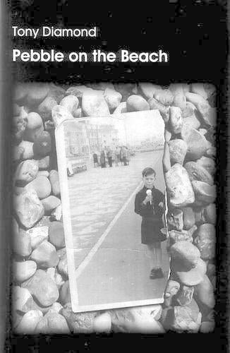 Pebble on the Beach