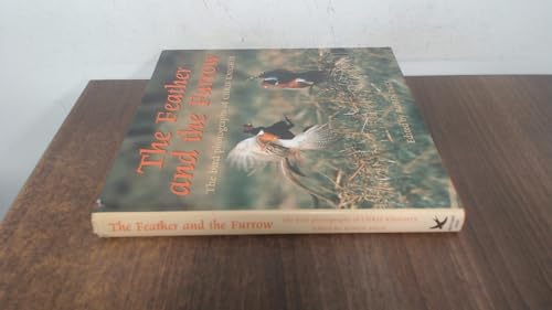 The Feather and the Furrow