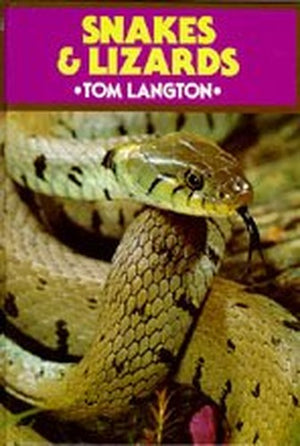 Snakes and Lizards