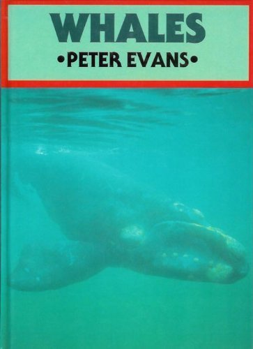 Whales