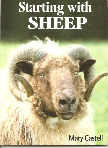 Starting with Sheep