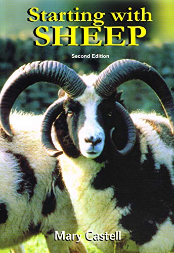 Starting with Sheep
