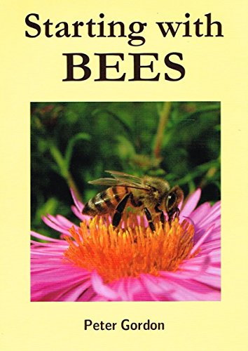 Starting with Bees