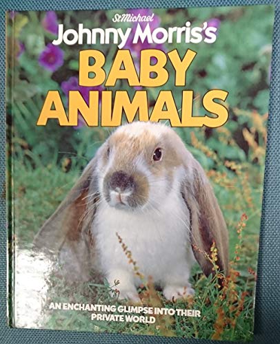 BABY ANIMALS