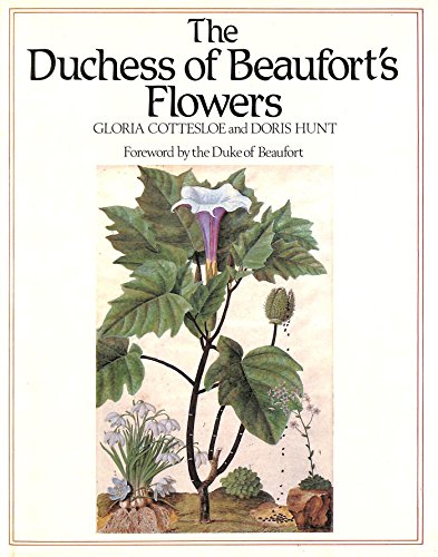 Duchess of Beaufort's Flowers