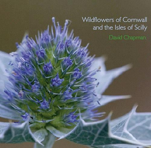 Wildflowers of Cornwall and the Isles of Scilly