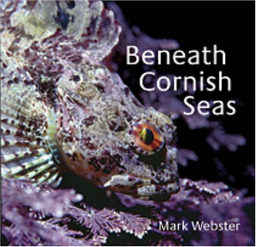 Beneath Cornish Seas