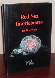 Red Sea Invertebrates 