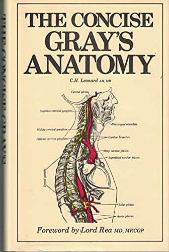 Anatomy