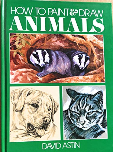 how to Paint & Draw Animals