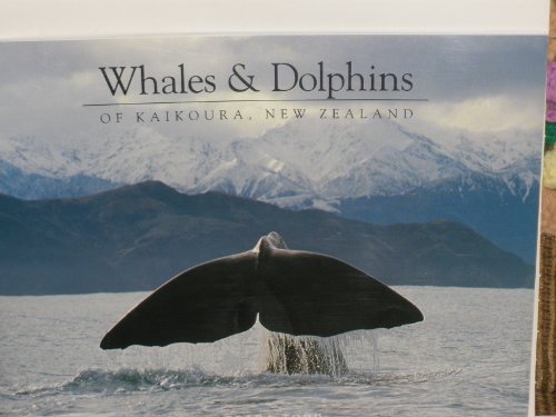 Whales and Dolphins of Kaikoura, New Zealand