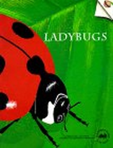 Ladybugs (Old Edition)