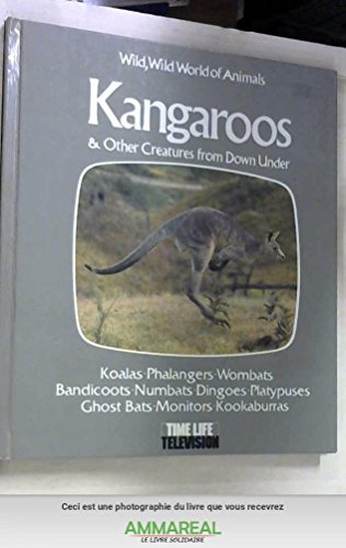 Kangaroos and Other Creatures from Down Under