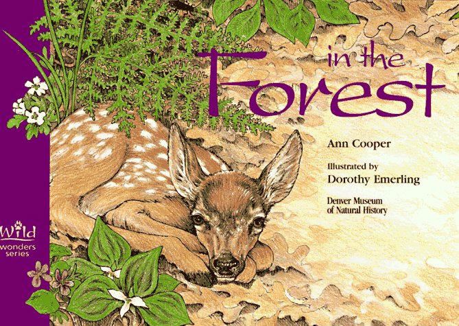 In the Forest