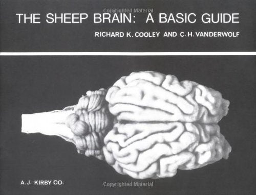 The Sheep Brain