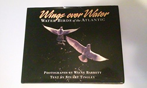 Wings over Water