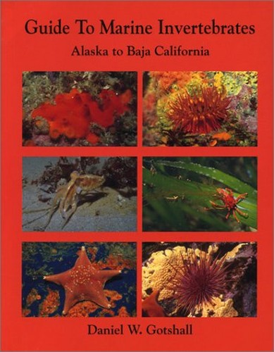 Guide to Marine Invertebrates