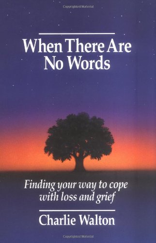 When There are No Words