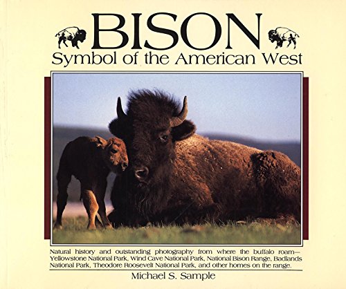 Bison