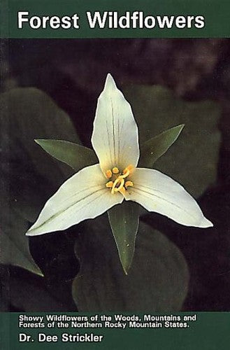 Forest Wildflowers