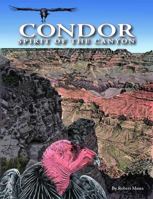 Condor