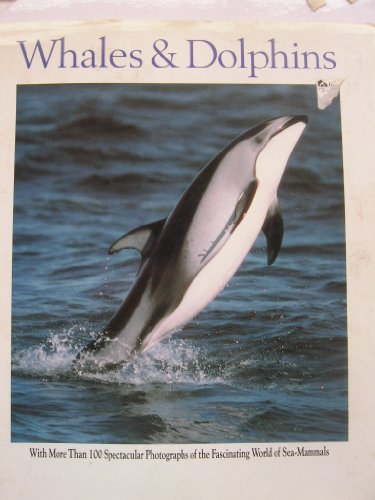 Whales & Dolphins