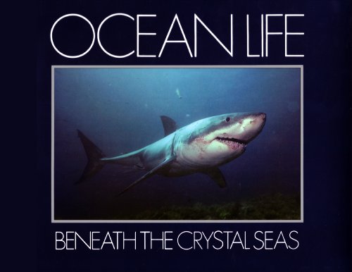 Ocean Life