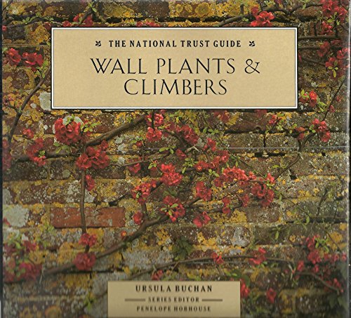 Wall Plants and Climbers