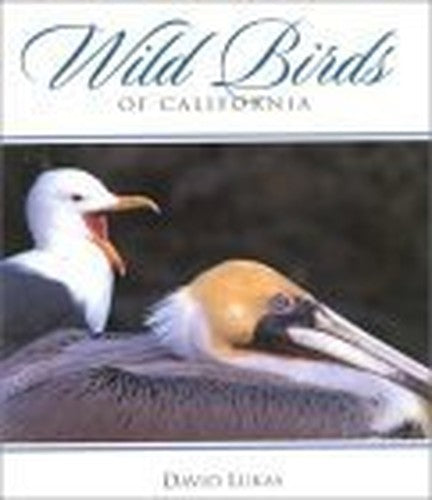 Wild Birds of California