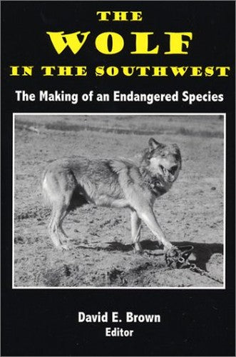 The Wolf in the Soutwest